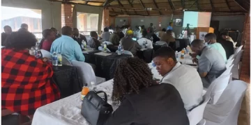 Call to decentralise Matabeleland South key services