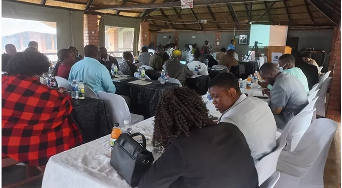 Call to decentralise Matabeleland South key services