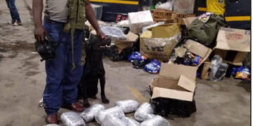 Five nabbed for drug smuggling syndicate