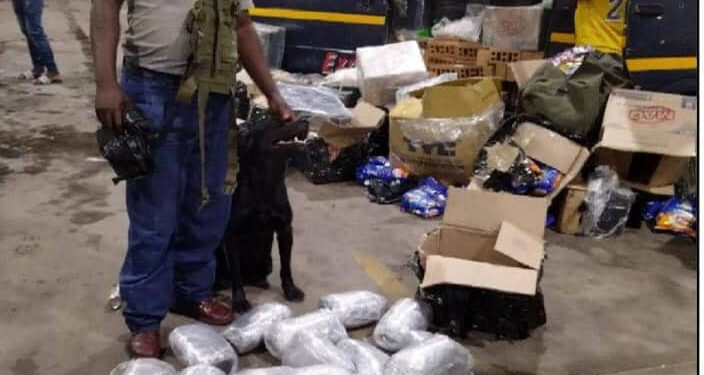 Five nabbed for drug smuggling syndicate