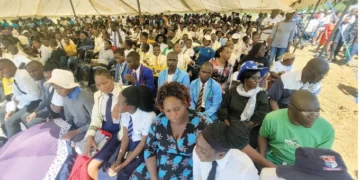 Young people key to Zimbabwe’s farming future