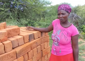 Gwanda female brick maker building the community with skill