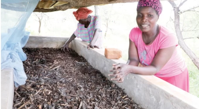 Gwanda field schools produce liquid fertiliser