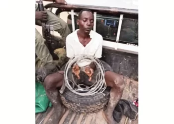 30 poachers arrested, 15 guns recovered