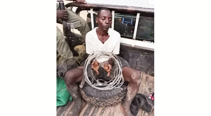 30 poachers arrested, 15 guns recovered