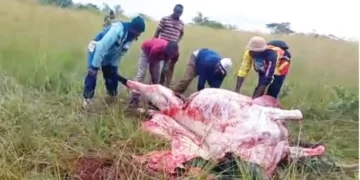 Four in court over stock theft