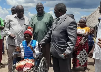 ‘Vote Zanu PF for unity, development’