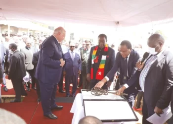 Zim, Belarus ink sweet textiles deal