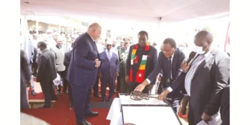 Zim, Belarus ink sweet textiles deal