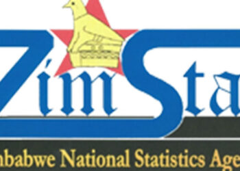 Males more employed than women: Zimstats