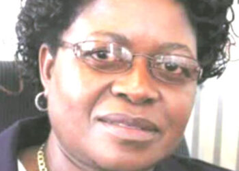 Parly wants criminal trials for unaudited local authorities