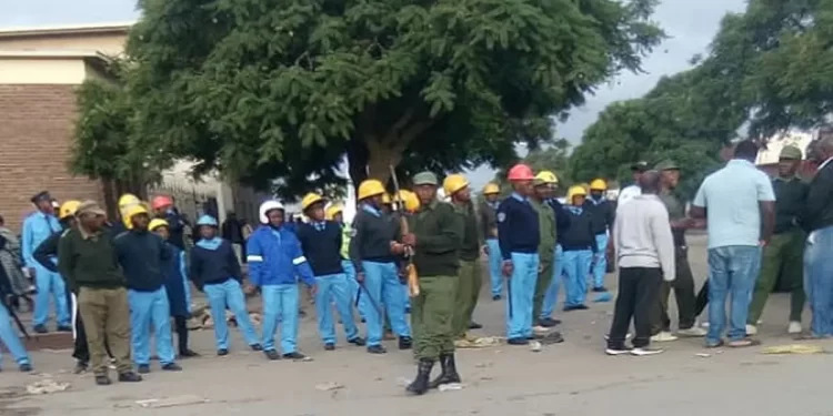 9 BCC municipal police officers released on $50 000 bail each