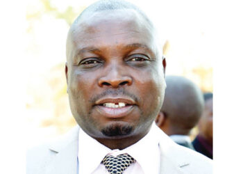 Zanu-PF aspiring candidates submit CVs