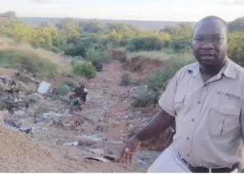 Developing gully threatens Victoria Falls suburb