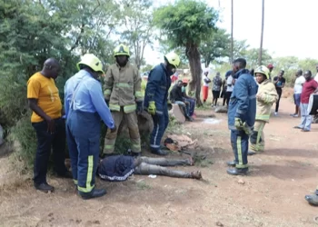 Panner dies as illegal mine shaft collapses