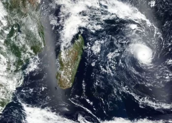 Freddy continues to break records