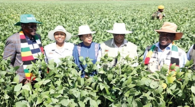 Food secure Zimbabwe eyes exports