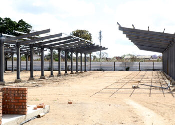 Government concerned over Egodini opening delay