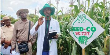 A peek into the future of Zimbabwe agriculture