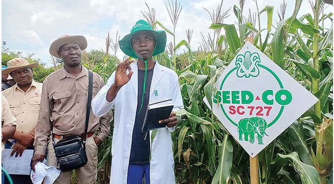 A peek into the future of Zimbabwe agriculture