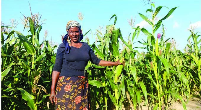 Elderly couple defies age to succeed as farmers