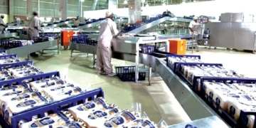 Innscor backs Govt’s 2030 transformation vision