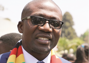 CITES ivory trade ban hampers Zimbabwe economy