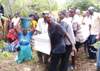84-year-old Mt Darwin mother beaten to death by sons buried