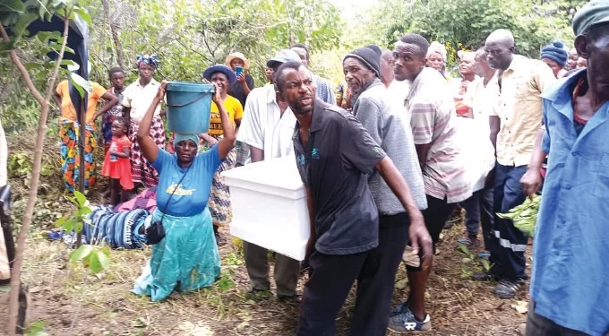 84-year-old Mt Darwin mother beaten to death by sons buried