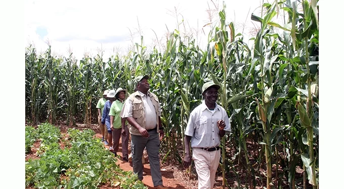 Pfumvudza: Mutoko applauds Govt, appeals for timely inputs distribution