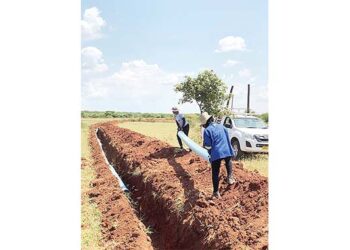 US$800 000 for irrigation scheme