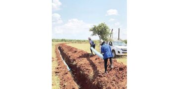 US$800 000 for irrigation scheme