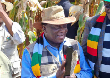 Land reform irreversible – President