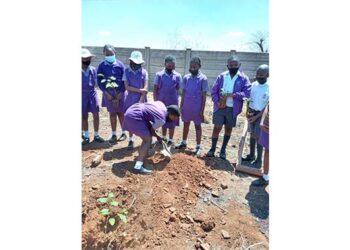 Zimbabwe environmentalist on a mission to save planet