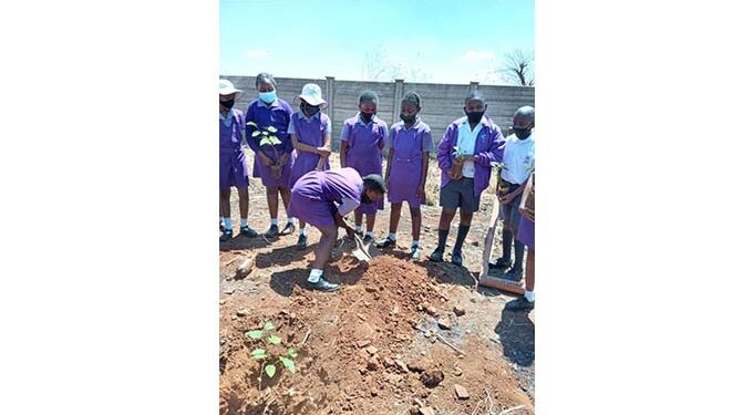 Zimbabwe environmentalist on a mission to save planet