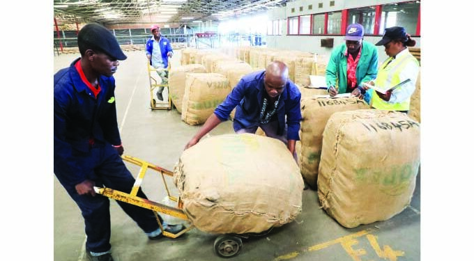 Tobacco auction floors open tomorrow