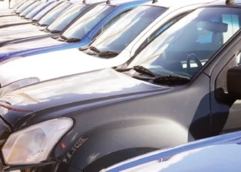 Traditional leaders receive 20 cars