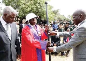 Tsholotsho gets town board status