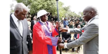 Tsholotsho gets town board status