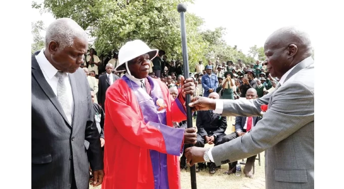 Tsholotsho gets town board status