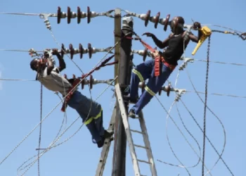 Industry wants USD power tariff linked to forex income