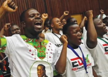Youth blend in Zanu PF elections tonic for posterity