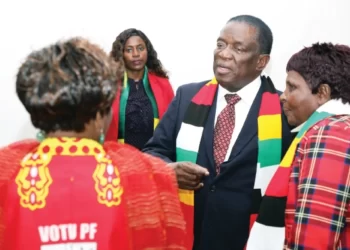 Zim transformation miffs detractors