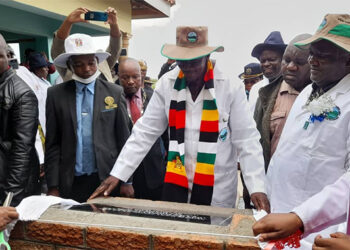 Opposition has failed urban people: Mohadi