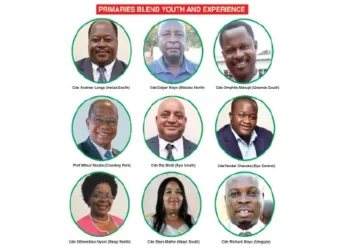 Zanu-PF concludes primary elections