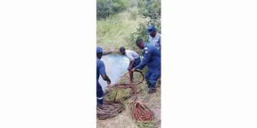 Prayer warrior catches zesa cable thieves