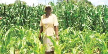 Government revives master farmer training programme