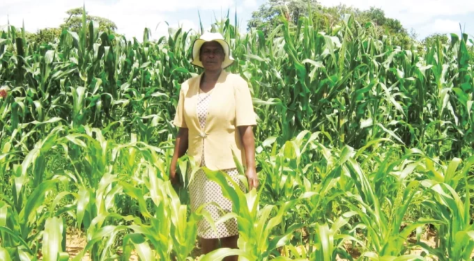 Government revives master farmer training programme