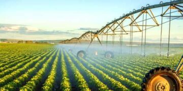 100 000ha for irrigation this year