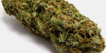 Bus driver nabbed for $4 million mbanje